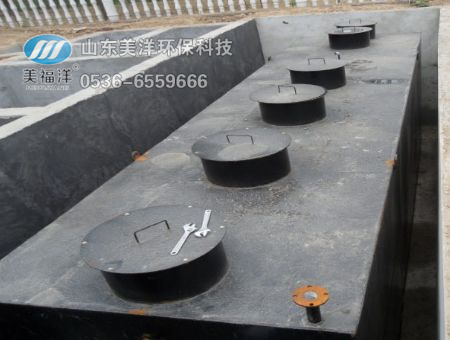 Rizhao Seven Star domestic sewage treatment project 