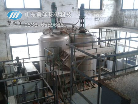 Linyi Jinluo food processing waste water treatment project 