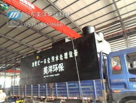 点击查看详细信息<br>标题：Complete sets of equipment for rural sewage 阅读次数：1908