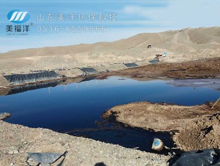 点击查看详细信息<br>标题：Onsite photo of the landed oil sludge 阅读次数：1973