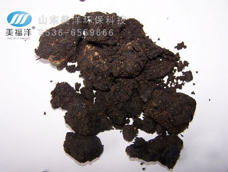点击查看详细信息<br>标题：Before treatment 阅读次数：1894