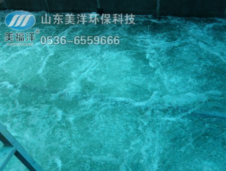 点击查看详细信息<br>标题：曝气 阅读次数：3013