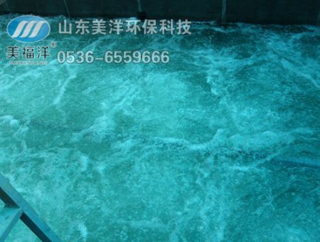 点击查看详细信息<br>标题：曝气 阅读次数：2192