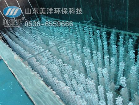 点击查看详细信息<br>标题：填料 阅读次数：2851